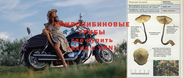 MESCALINE Корсаков