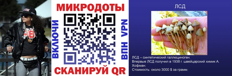 Галлюциногенные грибы Psilocybine cubensis  продажа наркотиков  ссылка на мегу ONION  Злынка 